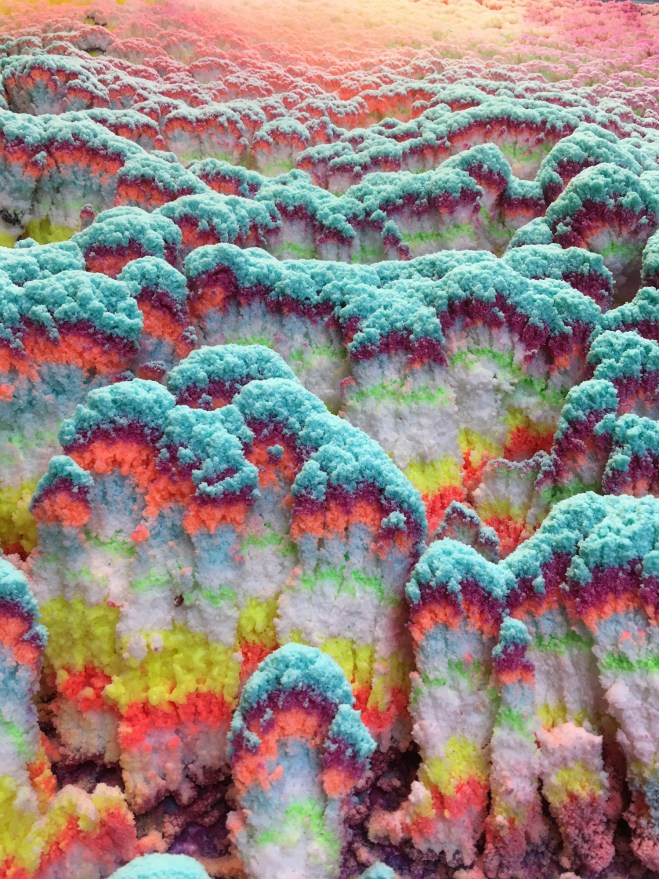 Dylan-Gebbia-Richards-image-3